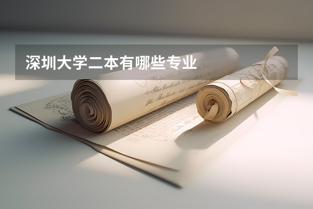 深圳大学二本有哪些专业