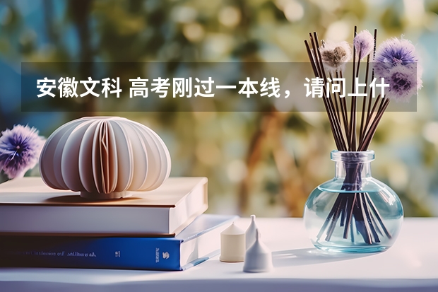 安徽文科 高考刚过一本线，请问上什么学校？