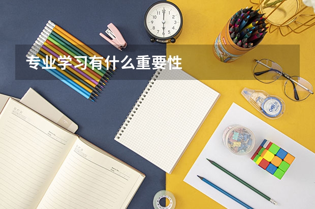 专业学习有什么重要性