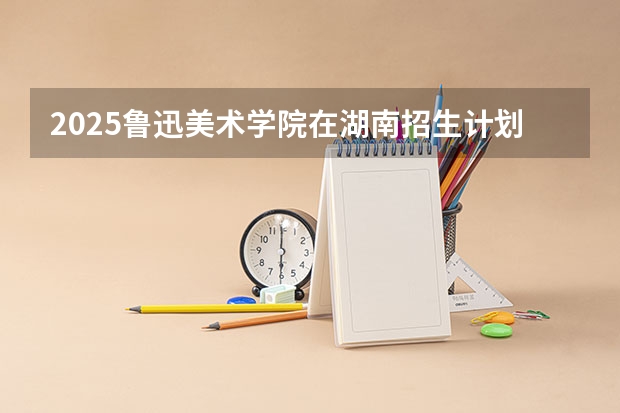 2025鲁迅美术学院在湖南招生计划一览表
