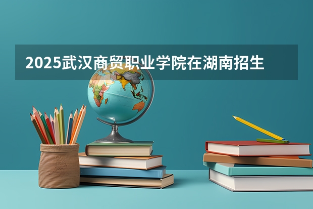 2025武汉商贸职业学院在湖南招生计划一览表