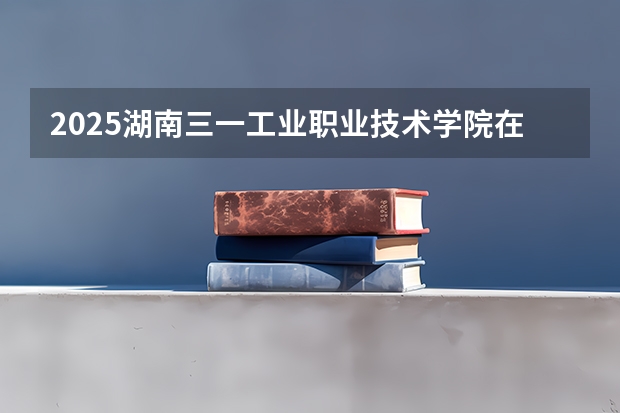 2025湖南三一工业职业技术学院在四川招生计划一览表