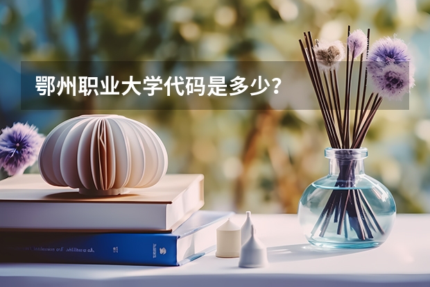 鄂州职业大学代码是多少？