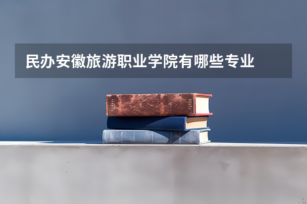 民办安徽旅游职业学院有哪些专业