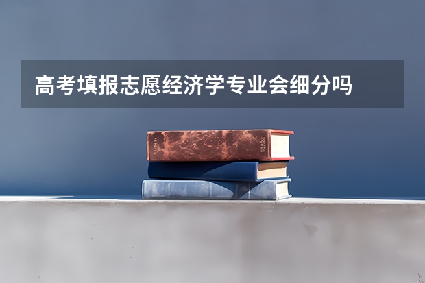 高考填报志愿经济学专业会细分吗