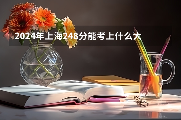 2024年上海248分能考上什么大学？