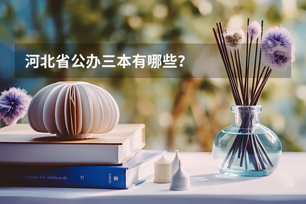 河北省公办三本有哪些？