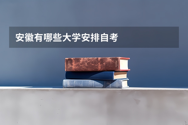 安徽有哪些大学安排自考