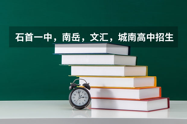 石首一中,南岳,文汇,城南高中招生分数线是多少