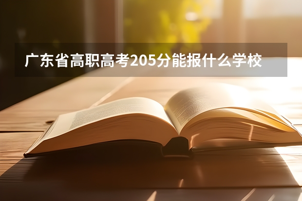 广东省高职高考205分能报什么学校?去年最低投档分160，今年110，各学院的最低录取分会不会降？