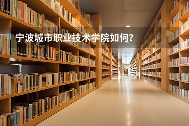 宁波城市职业技术学院如何?
