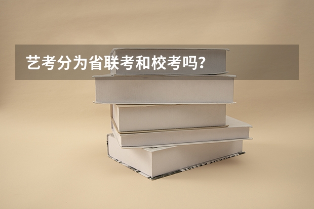 艺考分为省联考和校考吗？