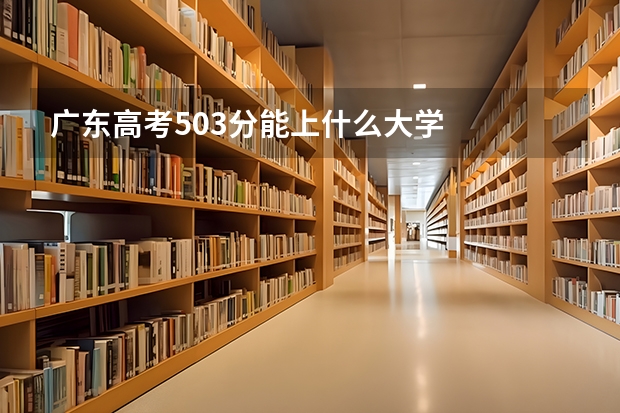 广东高考503分能上什么大学