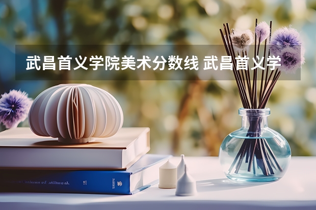 武昌首义学院美术分数线 武昌首义学院分数线