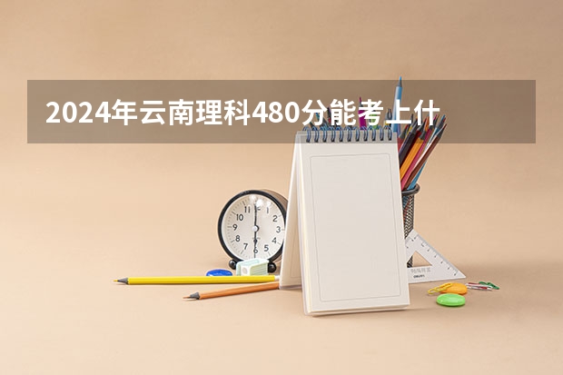2024年云南理科480分能考上什么大学?