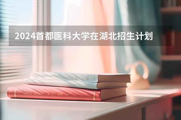 2024首都医科大学在湖北招生计划详解