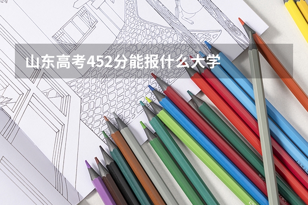 山东高考452分能报什么大学