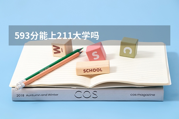 593分能上211大学吗