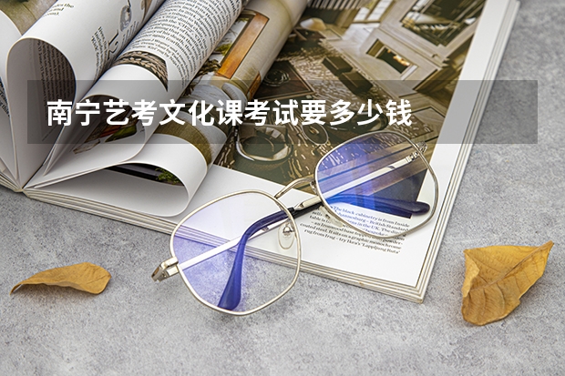 南宁艺考文化课考试要多少钱