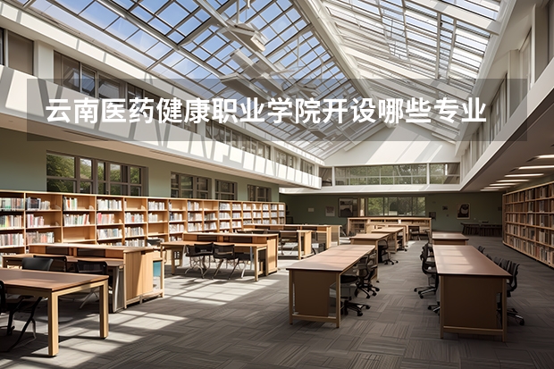 云南医药健康职业学院开设哪些专业