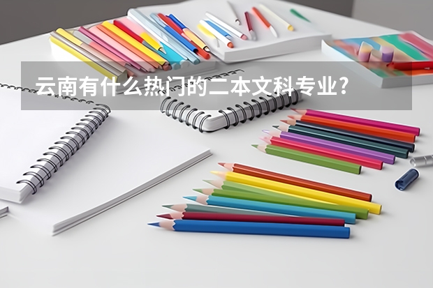 云南有什么热门的二本文科专业?