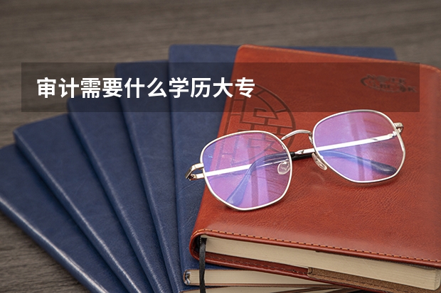 审计需要什么学历大专