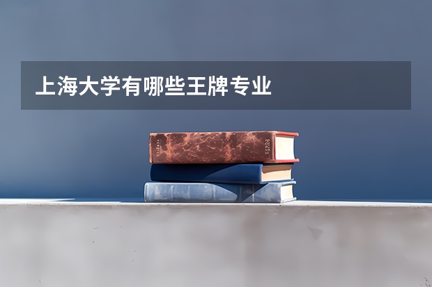 上海大学有哪些王牌专业