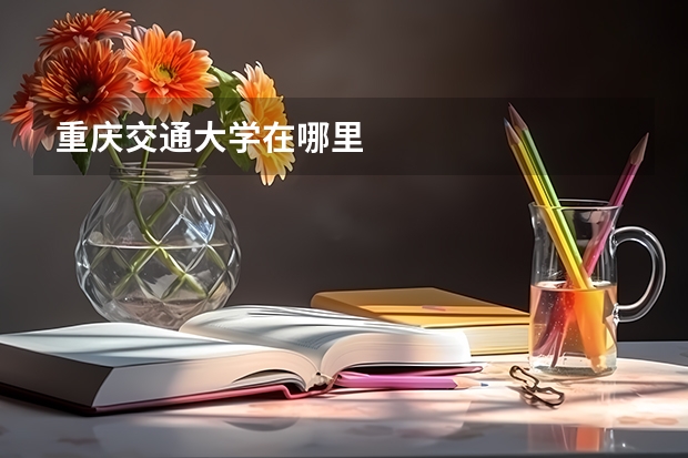 重庆交通大学在哪里