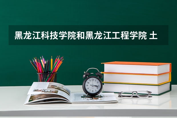 黑龙江科技学院和黑龙江工程学院 土木工程哪个好？？说具体点 不能忽悠