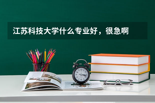 江苏科技大学什么专业好，很急啊