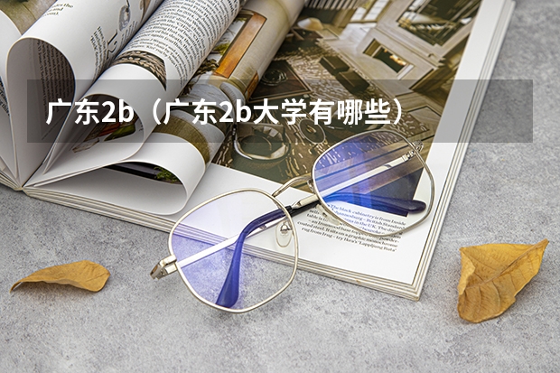 广东2b(广东2b大学有哪些)