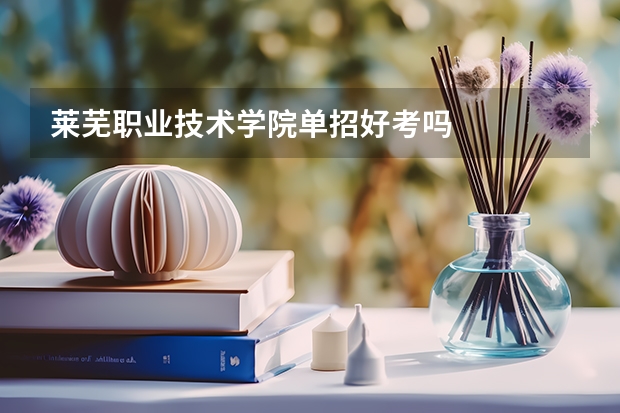 莱芜职业技术学院单招好考吗