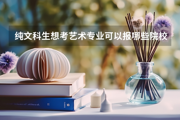 纯文科生想考艺术专业可以报哪些院校？