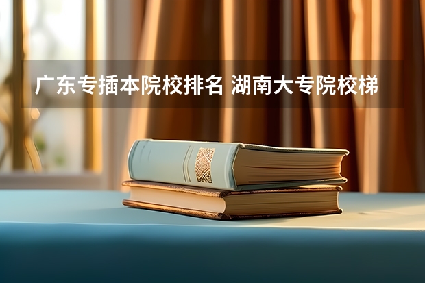 广东专插本院校排名 湖南大专院校梯度排名