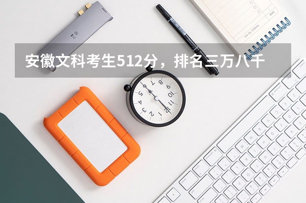 安徽文科考生512分,排名三万八千多,能报考哪些学校,求推荐。