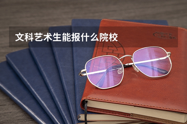 文科艺术生能报什么院校