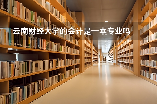 云南财经大学的会计是一本专业吗