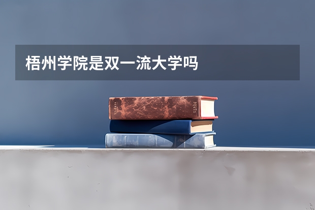 梧州学院是双一流大学吗