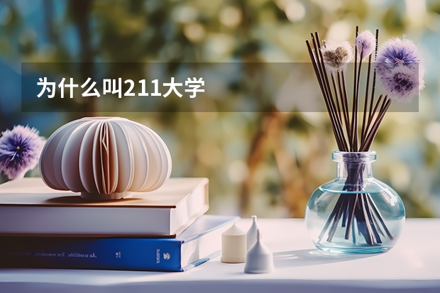 为什么叫211大学