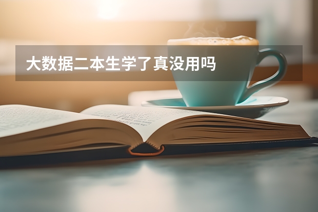 大数据二本生学了真没用吗