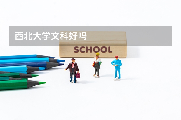 西北大学文科好吗