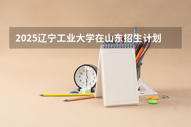2025辽宁工业大学在山东招生计划一览表