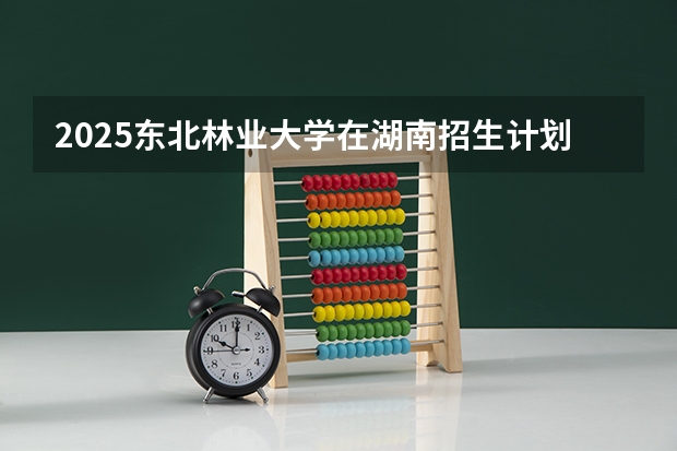 2025东北林业大学在湖南招生计划一览表