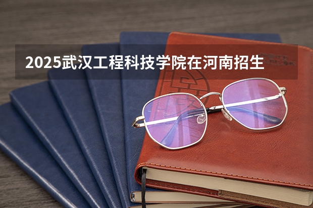 2025武汉工程科技学院在河南招生计划一览表