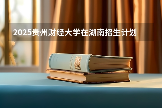 2025贵州财经大学在湖南招生计划一览表