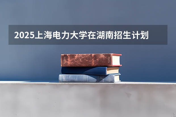 2025上海电力大学在湖南招生计划一览表