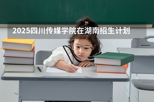 2025四川传媒学院在湖南招生计划一览表