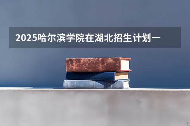2025哈尔滨学院在湖北招生计划一览表