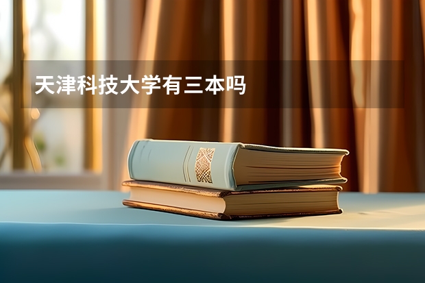 天津科技大学有三本吗