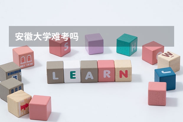 安徽大学难考吗